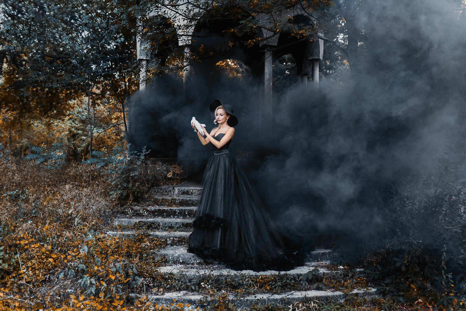 43702296070 4451656ab6 o